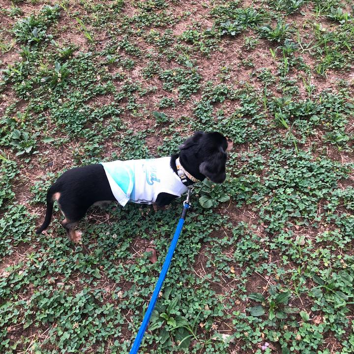 Bab9b9b0 f108 4a19 8e2b 8c3aeac7201e 1628716866444