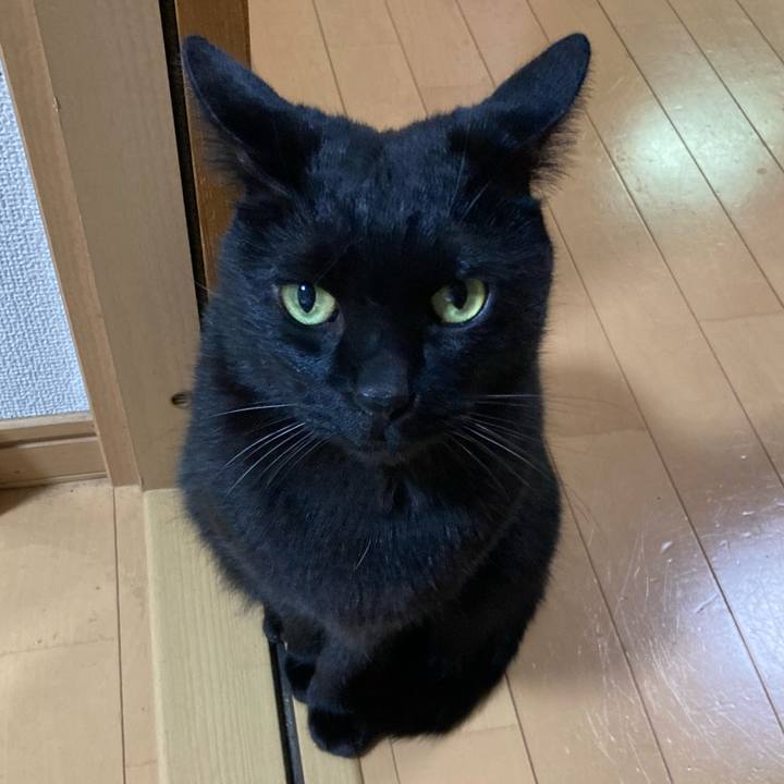 Bab9eeea a206 451a 8210 c238eea3b26a 1767572974148