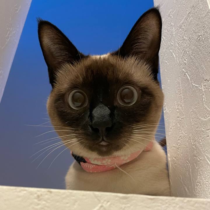 Baba17de 3f81 4b1e ab7f f1bf9b74ebc9 1716321098277