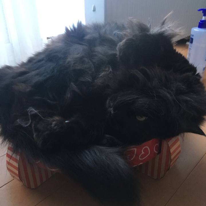 Baba1f2b f622 4e29 887f 4a13ad04132e 1547209957855