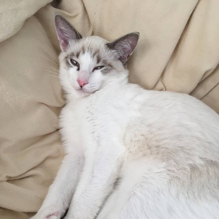 Baba2838 d6ea 4c35 b770 50fd1ec42801 1511023849566