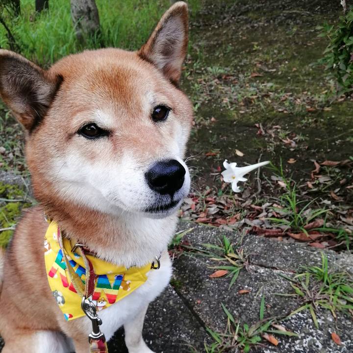 Baba2ad6 7a33 4712 bf8c 2f6b6a83f48f 1602548486733