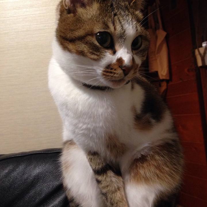 Baba31d3 aeee 48f9 abe7 30c78370b0fe 1519570619491