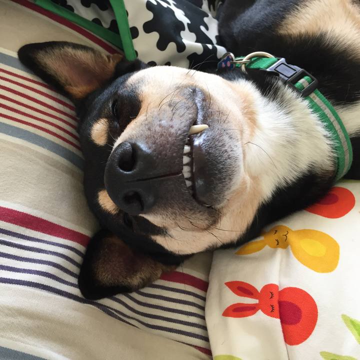 Baba587b c60d 41bb 86ff dd428e25bde4 1538449905904