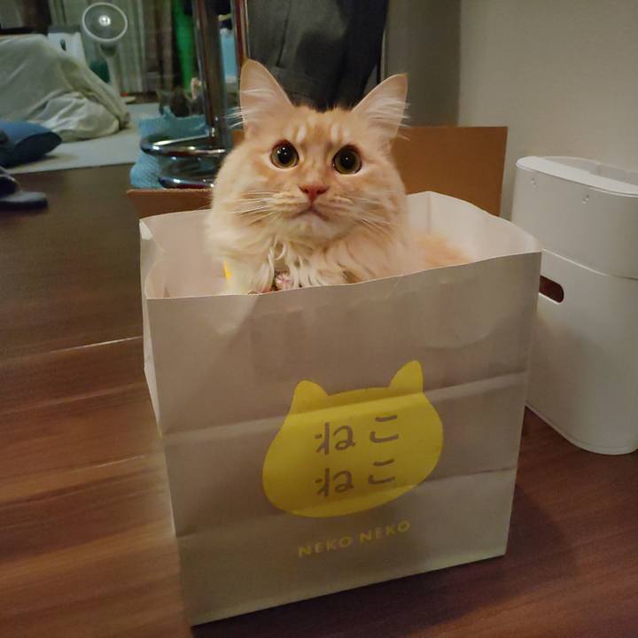 Baba8799 b8fb 4072 9f4e cc90c74a5bc8 1670678948879