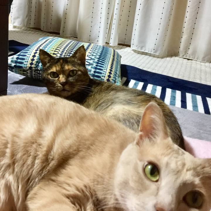 Babaf3af 4766 486c 9ede 2d93a6224069 1526384176997