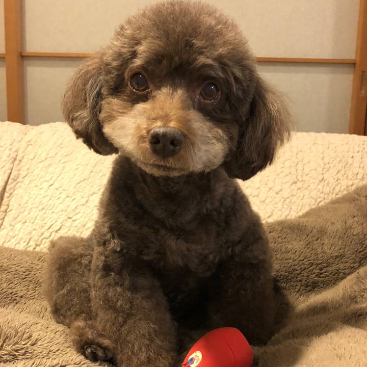 Babb21c2 2f09 4a50 bff3 54a15bb9ccb9 1521677454518