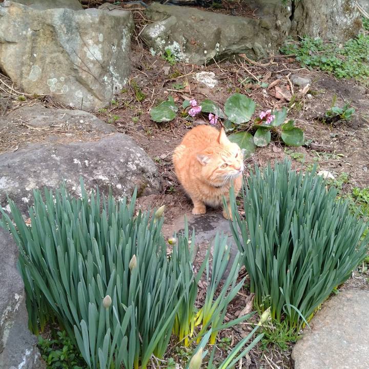 Babb32cc 5f34 4a46 8aa8 12fa316b17e9 1680735104583