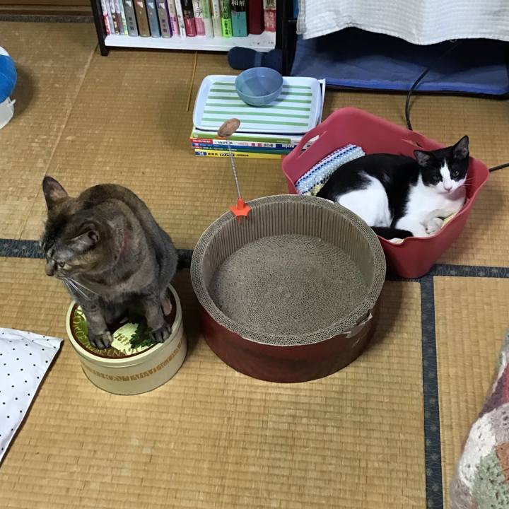 Babb3f3b 6b26 4275 ab50 1c4909743f90 1629788636837