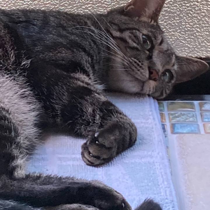 Babb5c3c 0399 4fde 91ad 0c34cf308e1d 1688273354317