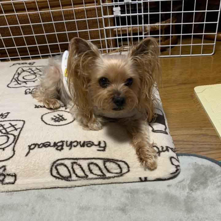 Babb5f38 e522 4168 b0c5 0949e18f7cb3 1613727534333