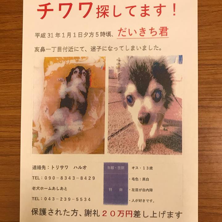 Babb6622 f647 4a52 a455 9d4467bc6425 1548228032055