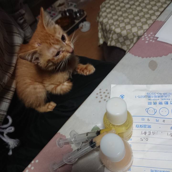 Babb66d0 6606 4f4f 904b 0e624a267e76 1628803449301