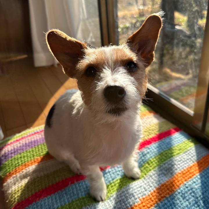 Babb9091 94f1 453d 918e 65883a4ddde5 1771025467583