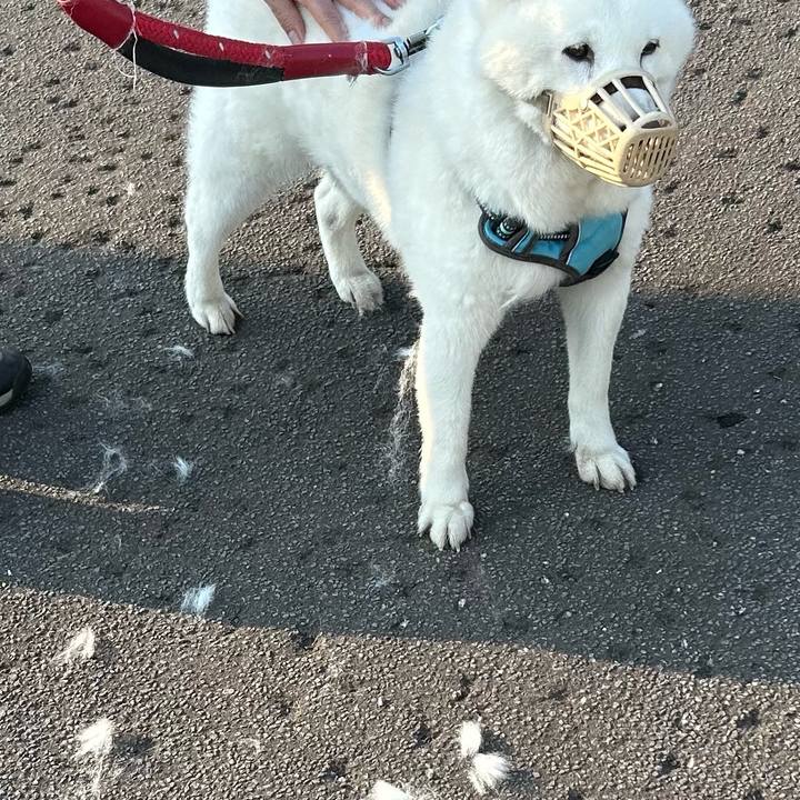 Babb9770 67a5 488a 9d56 3b0e6c93d68c 1748813949596