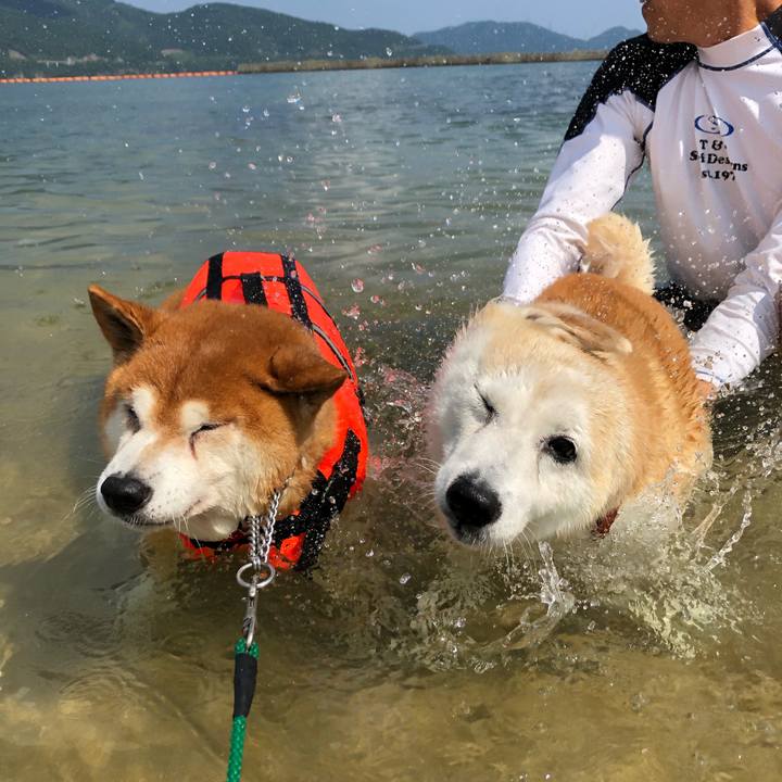 Babba4fb c25e 4477 933f 857bd36dbb04 1566705809656