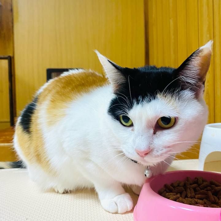 Babbe26a 817c 4ecb a59b 1c709e36f6e3 1676067102845