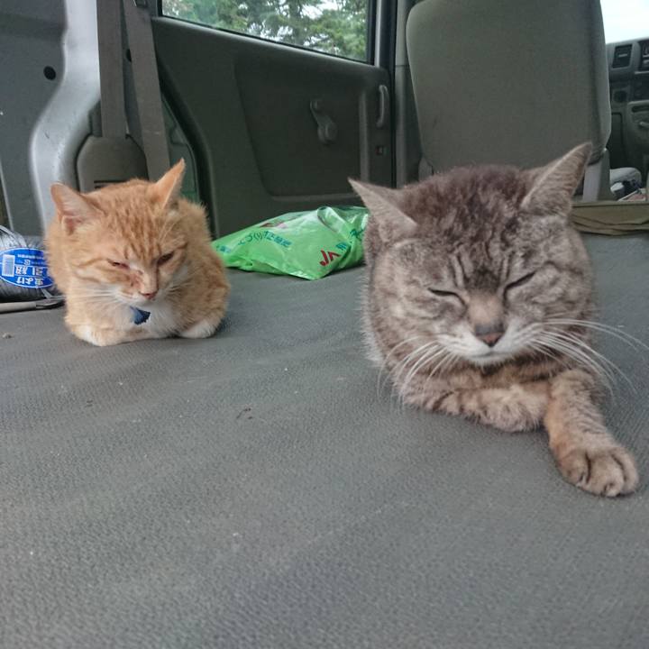 Babbfa1f 51c1 4c5a 8d8f 7e08664d5449 1559039807084