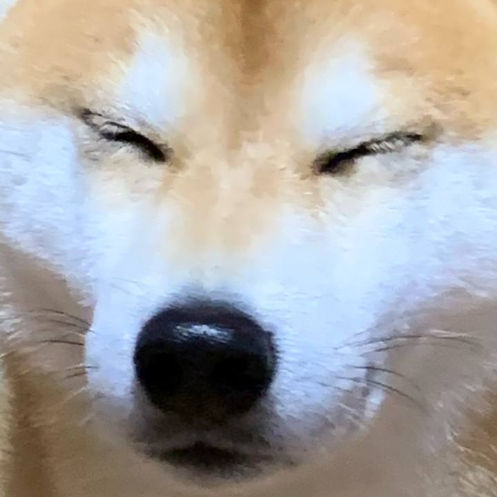 Babc3b9c 9b5c 43c2 b03d a4e8505eb832 1543237685902