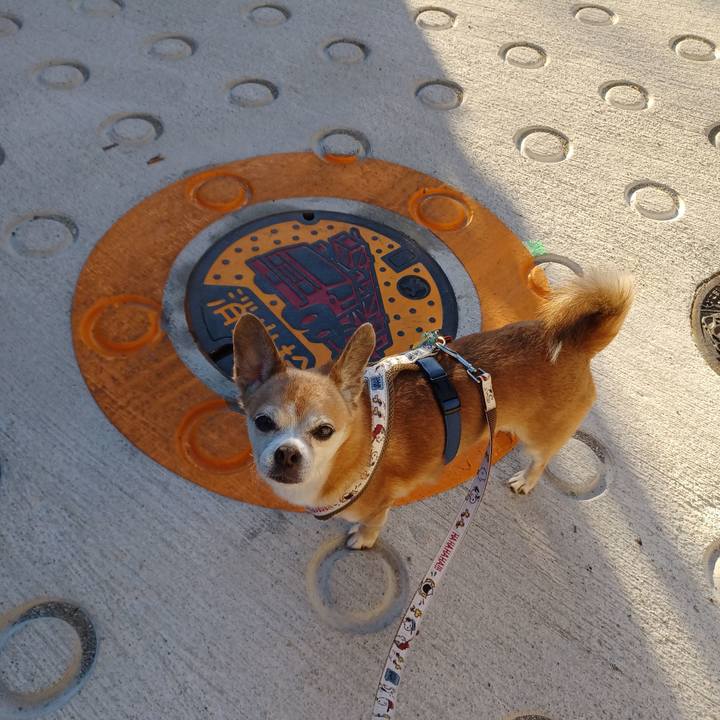 Babc5e65 03f9 4b5c 9dcf 7981259b4933 1752883933914