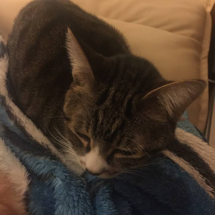 Babc8824 9a4a 4dce 9b31 6d16e1d178d1 1550158245686