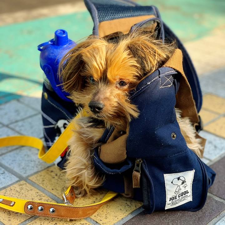 Babc96f5 8950 4172 ab08 867cc7c662ba 1594535393139