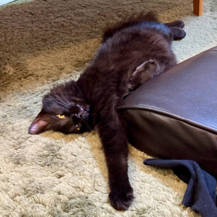 Babc9cd1 af42 44a8 8e78 4fef86b04e32 1714272876180