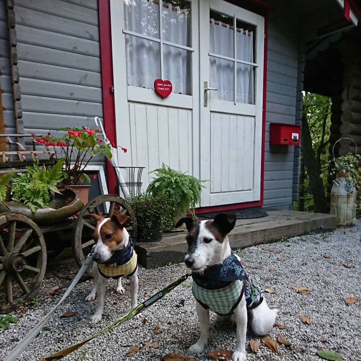 Babcbc6c fd33 407a 8f7e a227eea07144 1537707641585