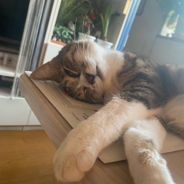 Babcd7fa 89a1 4a18 a26d 95e5966d2218 1720082635305