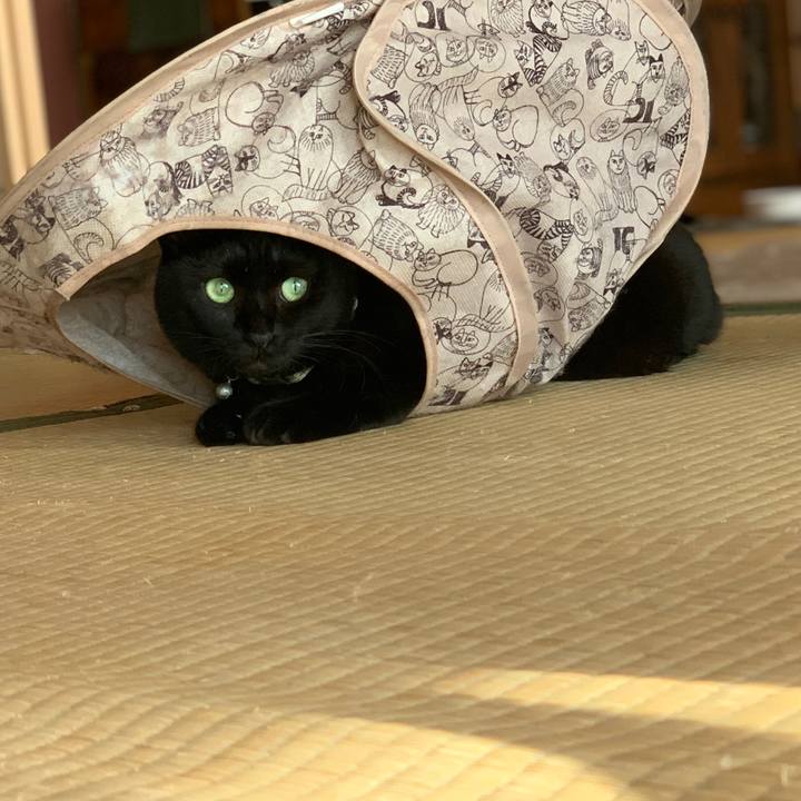 Babd000b 8eba 493a 9e97 9f7ae0a9fa2c 1571101752515