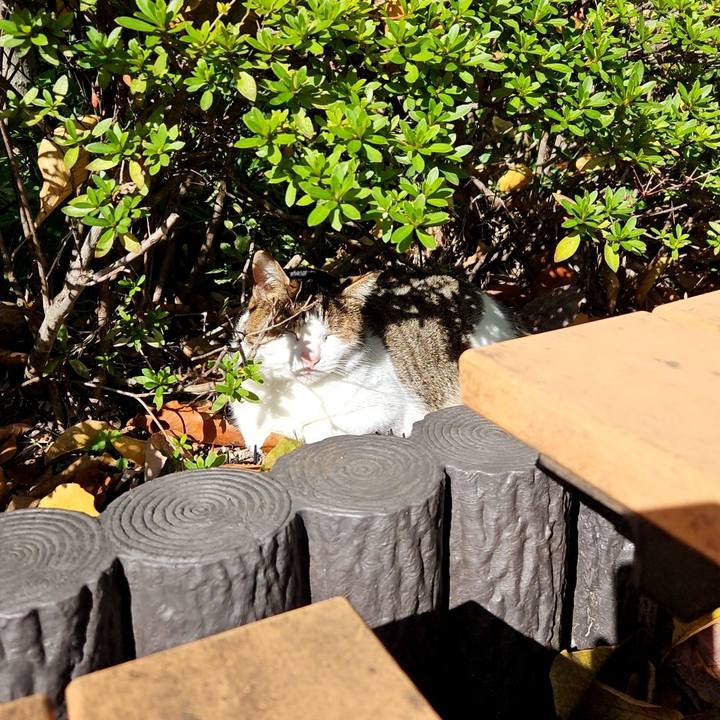 Babd2f2a 9f3b 4a9c 9b5d ad97a50ca411 1700270981368