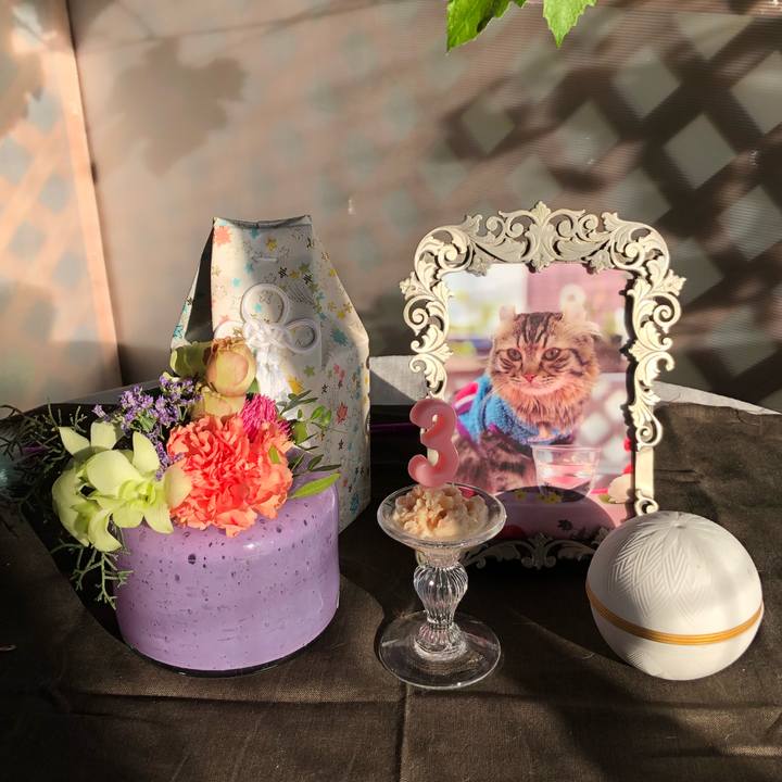 Babd5b99 55d6 4e72 91f5 e315bebbd6d6 1569415941900