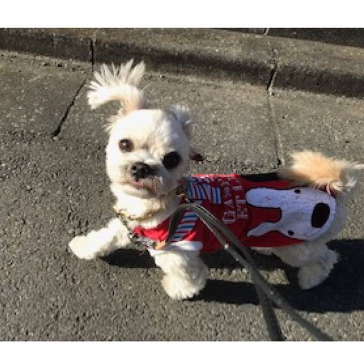 Babd68ad 5020 4b04 961a b67f983814cf 1518525266087