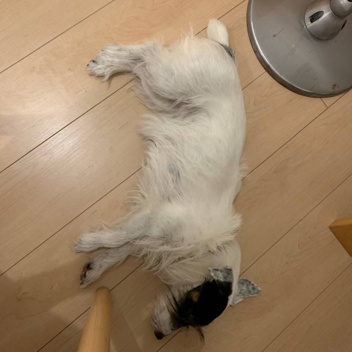 Babd6c67 2ad3 4e47 a39d fee1d7da848e 1694952371965