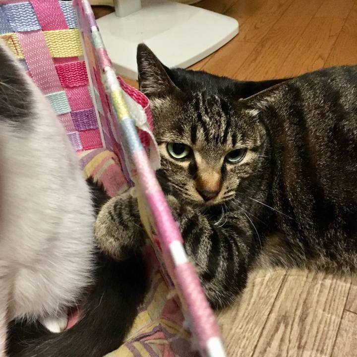 Babd8a94 fdfc 4a47 80f8 a2ec974b9146 1517751163508