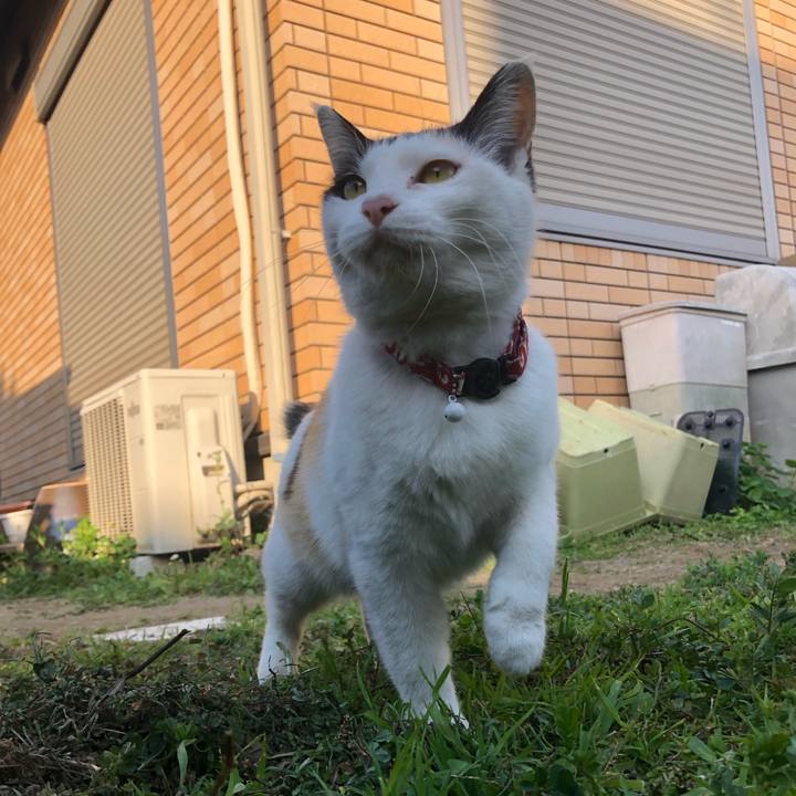 Babdc3f4 39c7 43d1 bf34 a30b0907719c 1618783870756