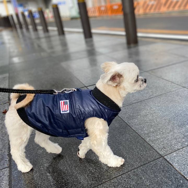 Babde520 ab39 4b1f aa69 5a317282a38f 1578463682251