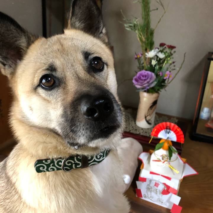 Babdeb47 bdd2 47d3 8162 1cd97ff71b2f 1546330484218