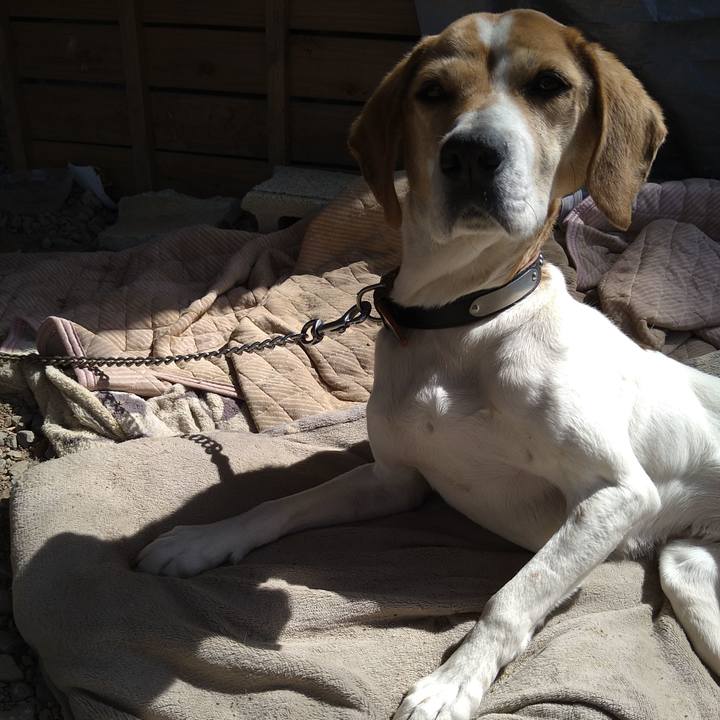 Babe2070 d873 4c98 a718 b6b13dd53ddf 1647404924718