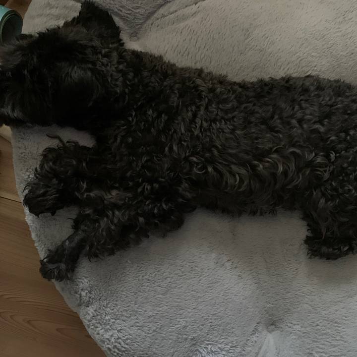 Babe233a 7a41 4eeb 899b 98c8aae4c462 1658548911737