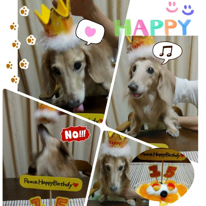 Babe4b42 5b7e 46a9 a1f9 9dd36b121bb9 1601726563418