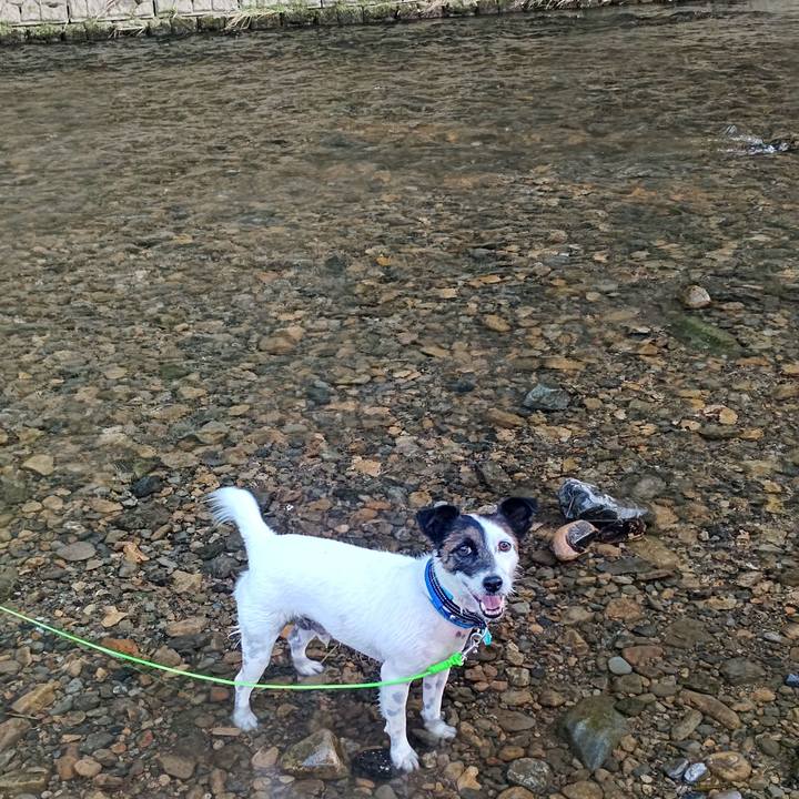 Babe58d5 e580 4b17 a3b5 cd9bf7827a3c 1687009409409