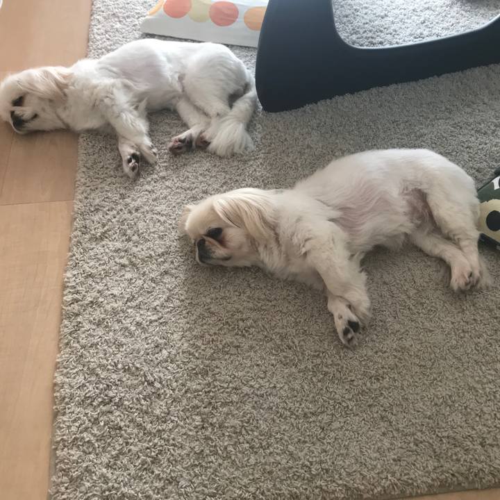 Babe59c8 da69 4650 b18c 1ae364b75d6b 1521872675368