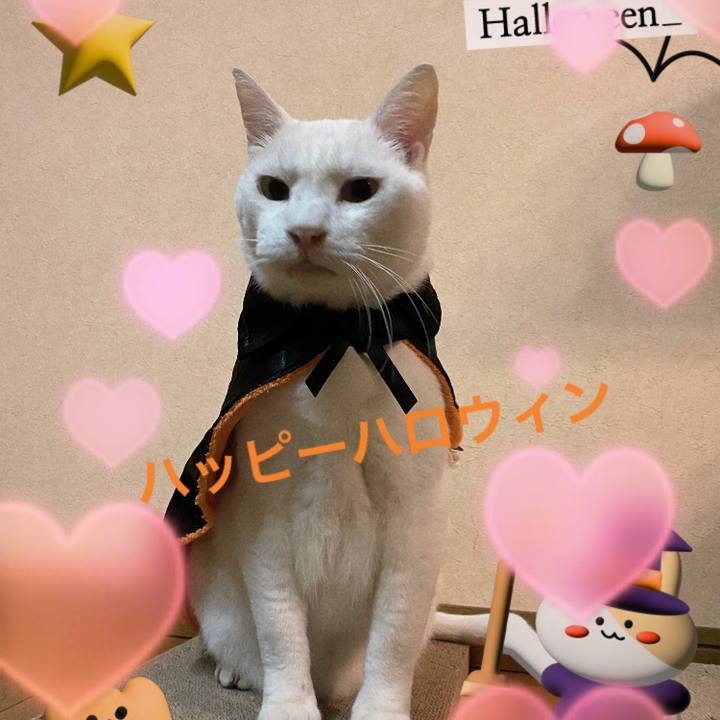 Babe9be2 7a06 4e7a b774 991a7bbd60ea 1667252164220