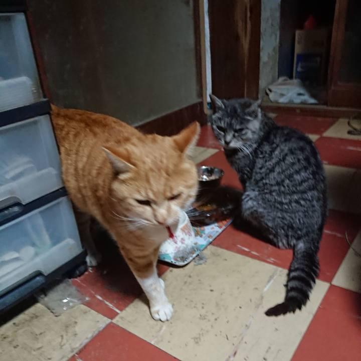 Babeaacf e3fe 4850 aa88 4c69bb130a01 1576055942500