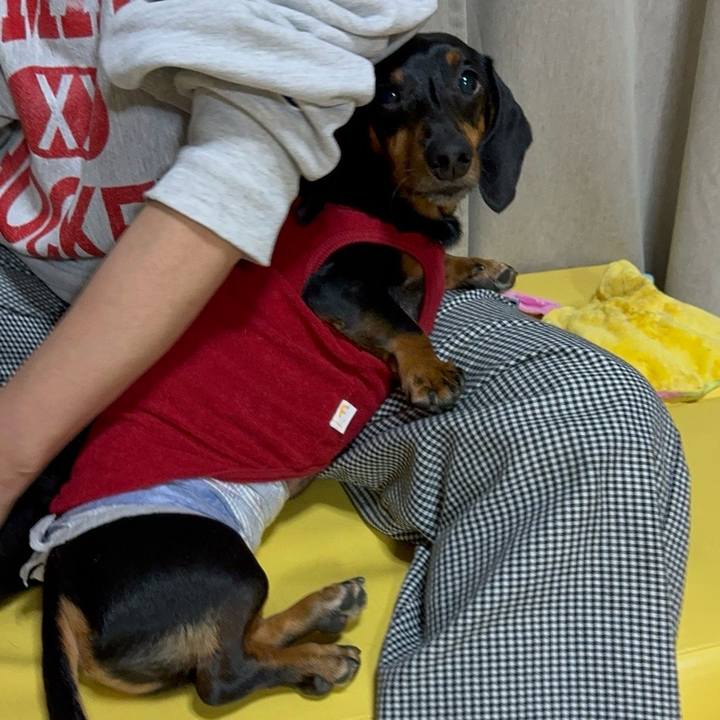 Babeb461 1043 42c1 a934 44d419477503 1732708944691