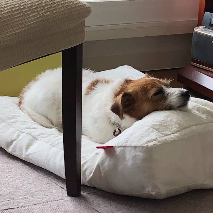 Babef8f4 2e56 4983 a874 222c3778af54 1595120549608