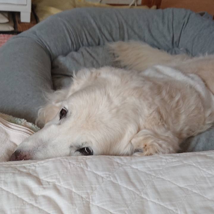 Babf0389 9791 4d92 beba 8c9f96f3f3a6 1585477117540