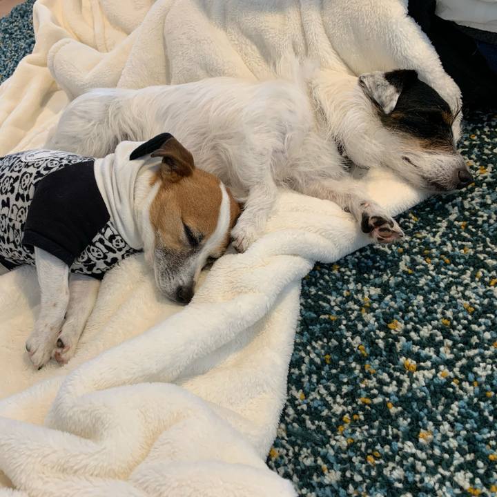 Babf0c0f b5fc 4e59 84bf 41e03795a617 1585633243152