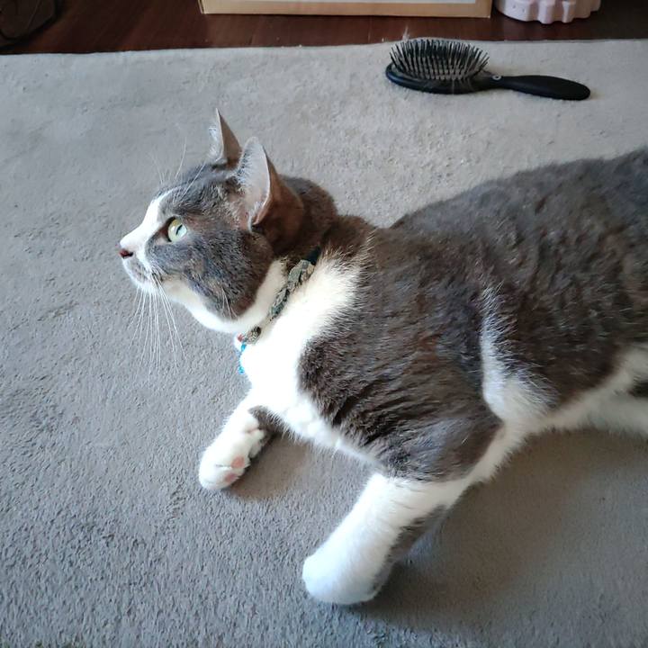 Babf3853 7cc8 447d ac49 cd7b4240f594 1717376605299